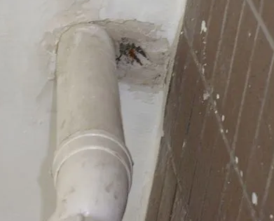 梅州漏水检测哪家好